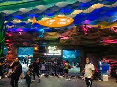 -青岛嘉年华主题乐园