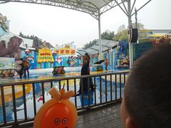 -海合安成都极地海洋公园