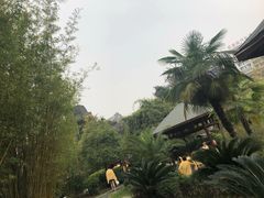 -咸宁万豪温泉谷度假区