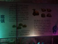 景点-贝壳梦幻世界