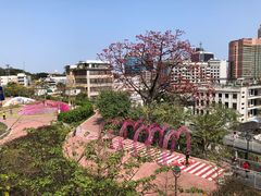 -佛山华盖山公园