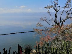 -南诏风情岛