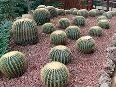 -呀路古热带植物园