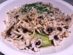 -三猫黑鱼花(南大店)