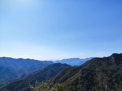 -大岭沟猕猴桃谷风景区