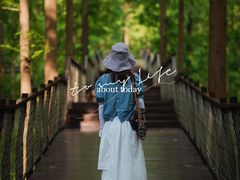 -黄海国家森林公园