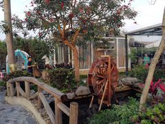-花溪雨·森林餐厅(石基店)