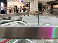 -CoCo都可(南阳摩根吾悦广场店)