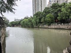 -老头儿油爆虾(胜利河美食街店)