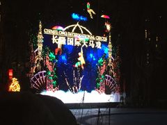 -广州长隆国际大马戏