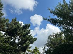 -信号山公园