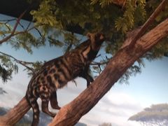 -陕西自然博物馆