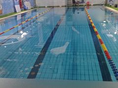 -蓝鲨游泳培训(回龙观店)