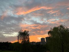 -沐仙湖湿地公园