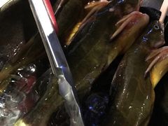 -王家渡火锅店(棕榈泉店)