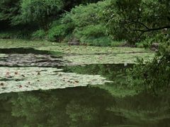 -杭州植物园