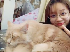 -猫色咖啡·猫咖