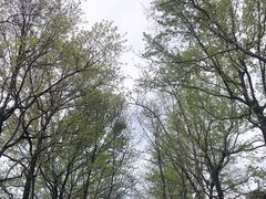 -杭州植物园