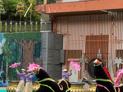 -西双版纳原始森林公园