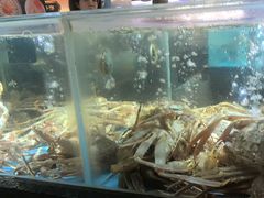 -紫阳海鲜楼·传承闽味(长乐路总店)