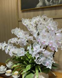 -百秀名媛纹绣美学护肤中心