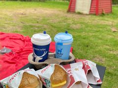 -南宁良凤江国家森林公园