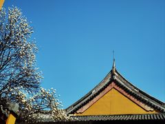 -龙华寺