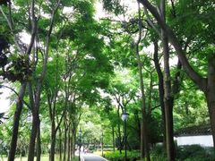-塔子山公园