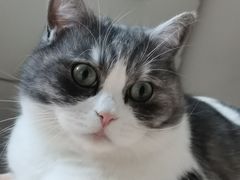 -湘阅·常德大湖鱼头(华宝店)