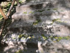 -北京上方山国家森林公园