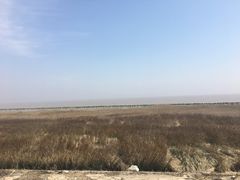 -南汇嘴观海公园