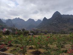 -长寿村