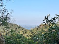 -珠海圆明新园