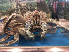 -盒马鲜生(大成店)