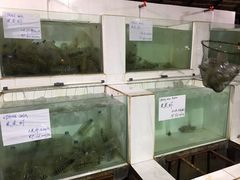 手臂粗皮皮虾-海盗餐厅