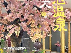 -东方之珠洗浴休闲广场(南开店)