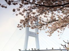 -南浦大桥长途旅游客运站