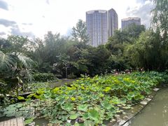 -四川大学(华西校区)