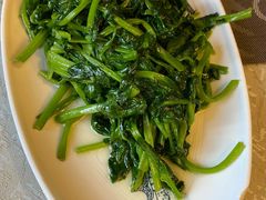 豆苗-富乐山酒店(西黄城根北街店)