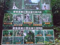 -西双版纳原始森林公园