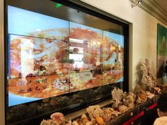 -开海·红岛海鲜虾水饺(石老人店)