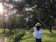 -人民公园(罗湖区)