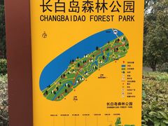 -长白岛森林公园