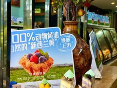 -倾城密码(大唐店)