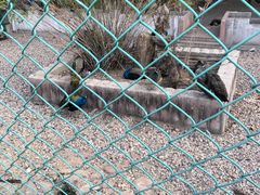 -南京金牛湖风景区