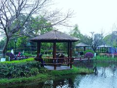 -成飞公园