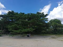 -景福宫