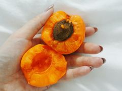 -秀水家园农家院住宿团建(石林峡店)