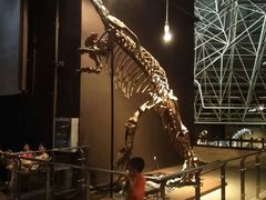 -世界恐龙谷景区