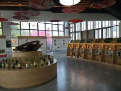 -广西壮族自治区药用植物园